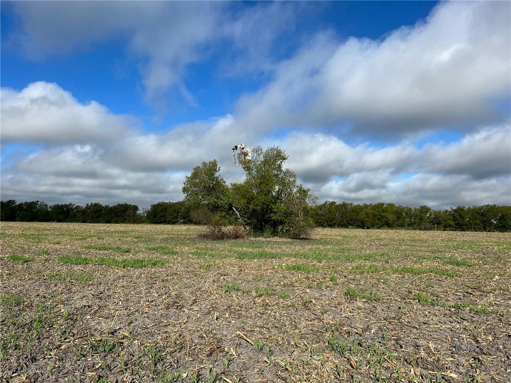 TBD CR 117 ROAD, ROGERS, TX 76569, photo 1 of 21