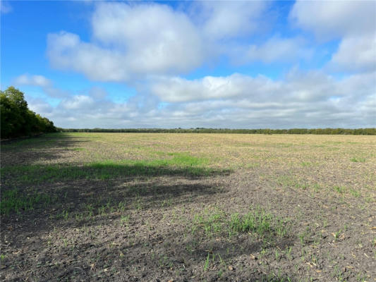 TBD CR 117 ROAD, ROGERS, TX 76569, photo 3 of 21