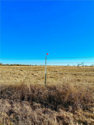 TRACT 2 FM 339 ROAD, MOUNT CALM, TX 76673, photo 4 of 6