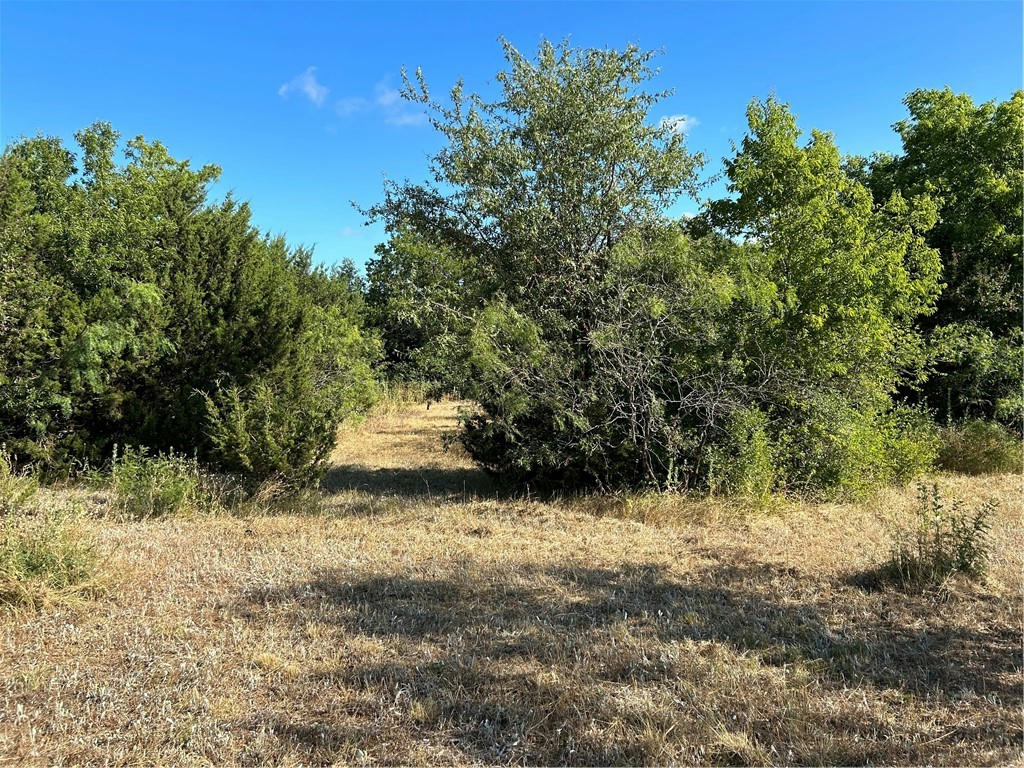 170 OPEN SPACES, CHINA SPRING, TX 76633, photo 1 of 10