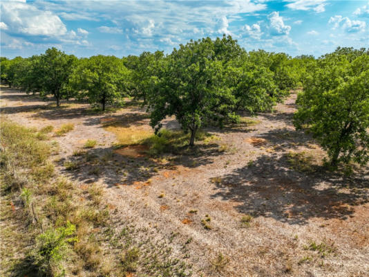 TRACT 2 CALL 93 FM 1784 ROAD, PLEASANTON, TX 78064, photo 4 of 17