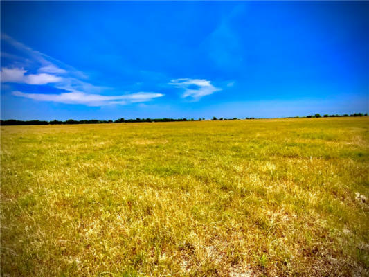 TBD- TRACT 4A CR 137, MARLIN, TX 76661, photo 3 of 3