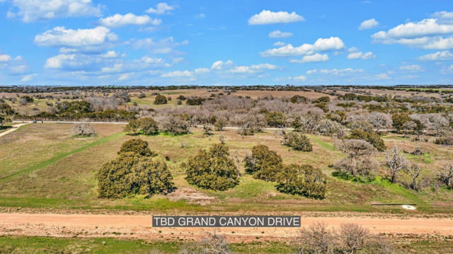 461 GRAND CANYON DRIVE, OGLESBY, TX 76561, photo 2 of 8