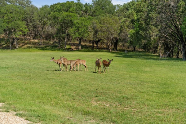 0000 RIVERSIDE DRIVE, AQUILLA, TX 76622, photo 5 of 33