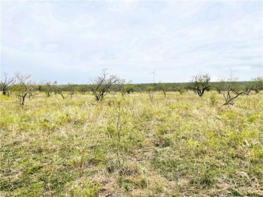 TBD LCR 114 ROAD, AXTELL, TX 76624, photo 5 of 21
